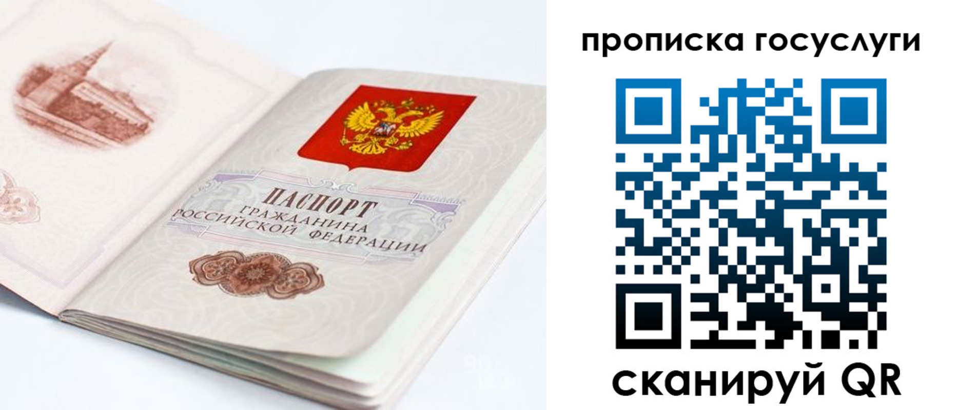 временная регистрация в Оби